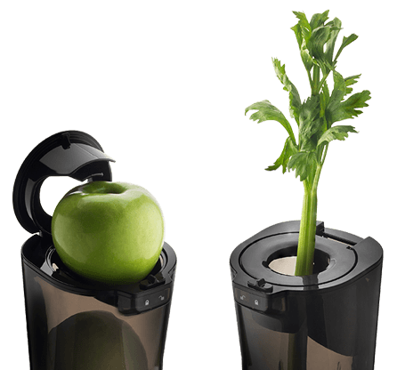 odšťavnění celých surovin odšťavnění celých surovin